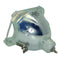 Akai BP96-01472A Philips Bare TV Lamp