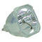 Acer 60.J1610.001 Osram Projector Bare Lamp