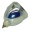Acer 60.J1610.001 Osram Projector Bare Lamp