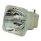 Acer EC.J3401.001 Osram Projector Bare Lamp