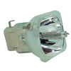 Acer EC.J6700.001 Osram Projector Bare Lamp