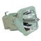 Acer EC.J6700.001 Osram Projector Bare Lamp