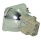 Acer EC.J6700.001 Osram Projector Bare Lamp