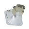 Acer EC.J3001.001 Osram Projector Bare Lamp