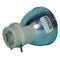 Acer EC.JC600.001 Osram Projector Bare Lamp