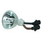 Acer EC.J3901.001 Phoenix Projector Bare Lamp