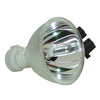 Acer EC.J3901.001 Phoenix Projector Bare Lamp