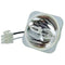 BenQ 5J.J0A05.001 Phoenix Projector Bare Lamp