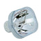 A+K 21 232 Phoenix Projector Bare Lamp