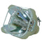 A+K 21 189 Philips Projector Bare Lamp