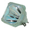 Acer 25.30025.011 Philips Projector Bare Lamp