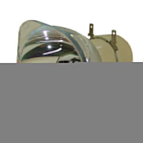 BenQ 5J.J5E05.001 Philips Projector Bare Lamp