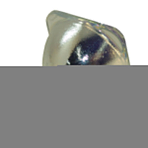 BenQ 5J.J4R05.001 Philips Projector Bare Lamp