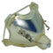 Barco R9841761 Philips Projector Bare Lamp