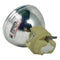 Acer MC.JF411.002 Philips Projector Bare Lamp