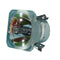 BenQ 5J.01201.001 Ushio Projector Bare Lamp