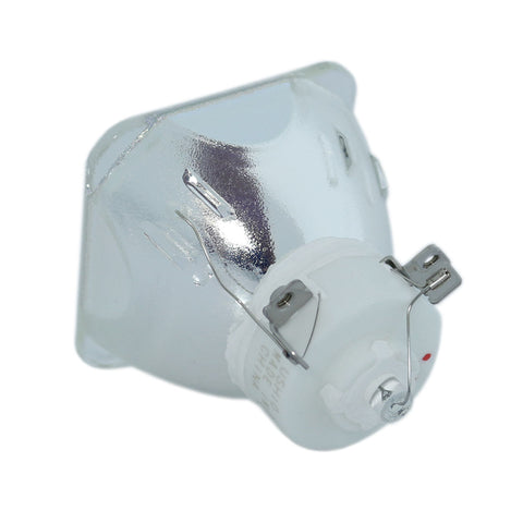 ACTO 1300052500 Ushio Projector Bare Lamp