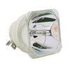 ACTO 1300022500 Ushio Projector Bare Lamp