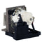 Acer 57.J450K.001 Ushio Projector Lamp Module