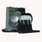 Acer EC.J3901.001 Phoenix Projector Lamp Module