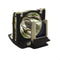 A+K LAMP 027 Philips Projector Lamp Module
