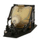 A+K 21 189 Osram Projector Lamp Module