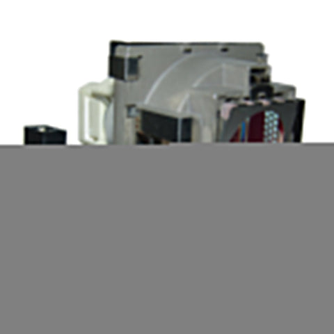 BenQ 5J.08G01.001 Osram Projector Lamp Module
