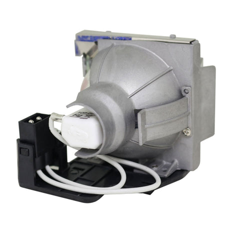 BenQ 5J.Y1605.001 Phoenix Projector Lamp Module