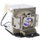 Acer EC.K1300.001 Osram Projector Lamp Module