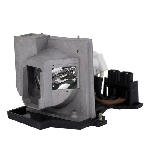 Acer EC.J4301.001 Phoenix Projector Lamp Module