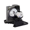 Acer EC.J4301.001 Phoenix Projector Lamp Module