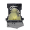 Acer EC.J1101.001 Philips Projector Lamp Module