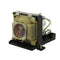 BenQ 59.J8401.CG1 Compatible Projector Lamp Module