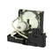 BenQ 59.J8401.CG1 Compatible Projector Lamp Module