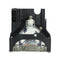 Acer 25.30025.011 Compatible Projector Lamp Module