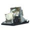 BenQ 5J.JKF05.001 Compatible Projector Lamp Module