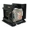 BenQ 5J.JDH05.001 Compatible Projector Lamp Module