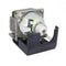 BenQ 5J.08001.001 Compatible Projector Lamp Module