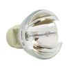 Optoma BL-FP280C Projector Bare Lamp