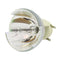 Optoma BL-FP280C Projector Bare Lamp