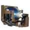 ELPLP16 V13H010L16 Original Projector Lamp with Module