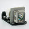 BL-FP230D / SP.8EG01G.C01 Replacement Projector Lamp with Housing - iprojectorlamp