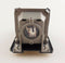 NP18LP / 60003128 Replacement Projector Lamp with Housing - iprojectorlamp